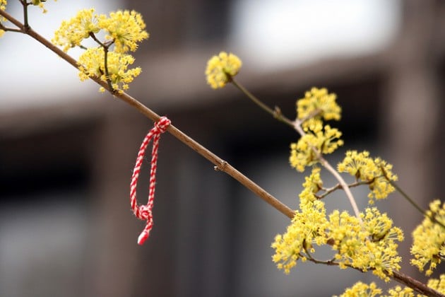 source: http://www.flickr.com/photos/quinnanya